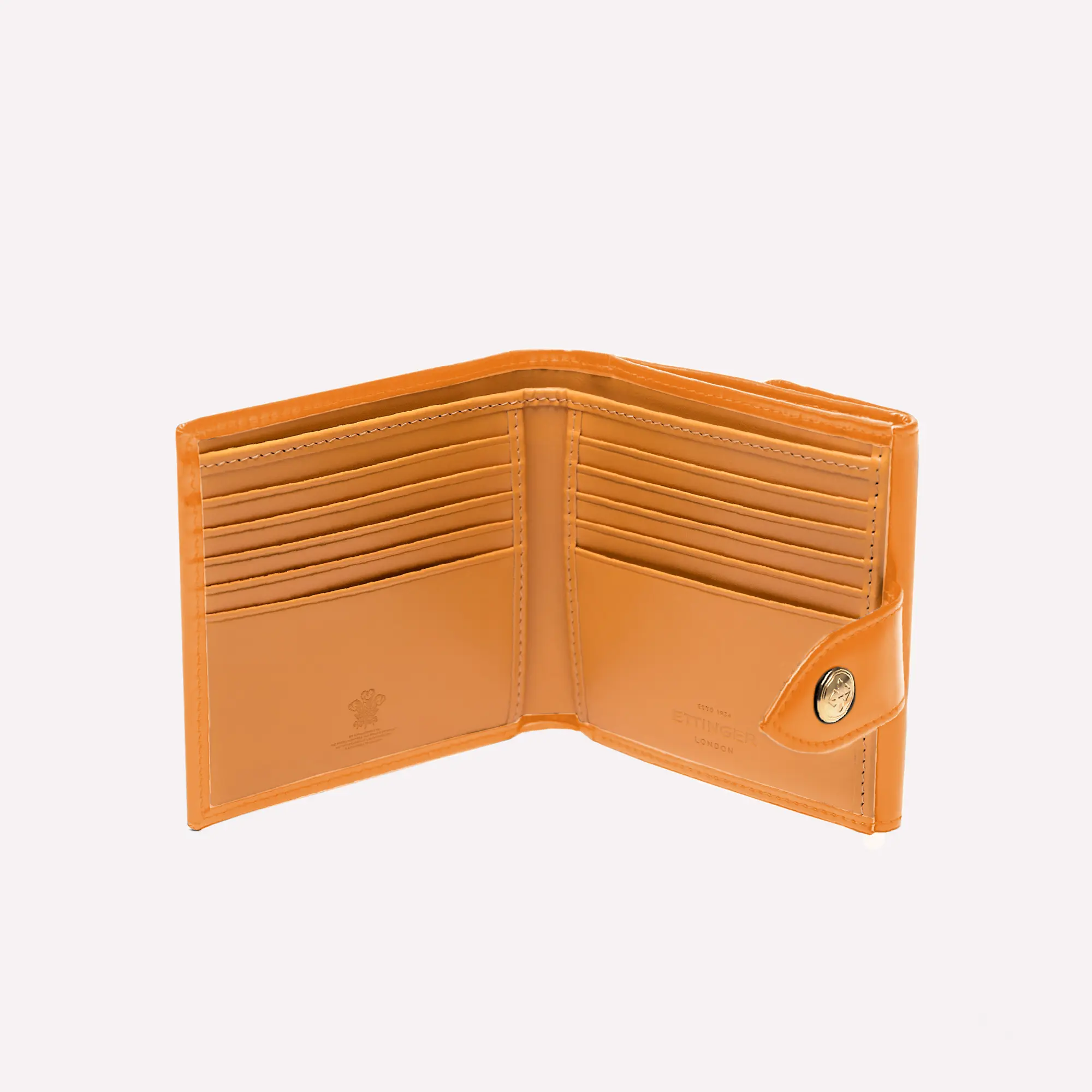 Bridle Hide Tab Wallet with 10 C/C & Purse - Image 19