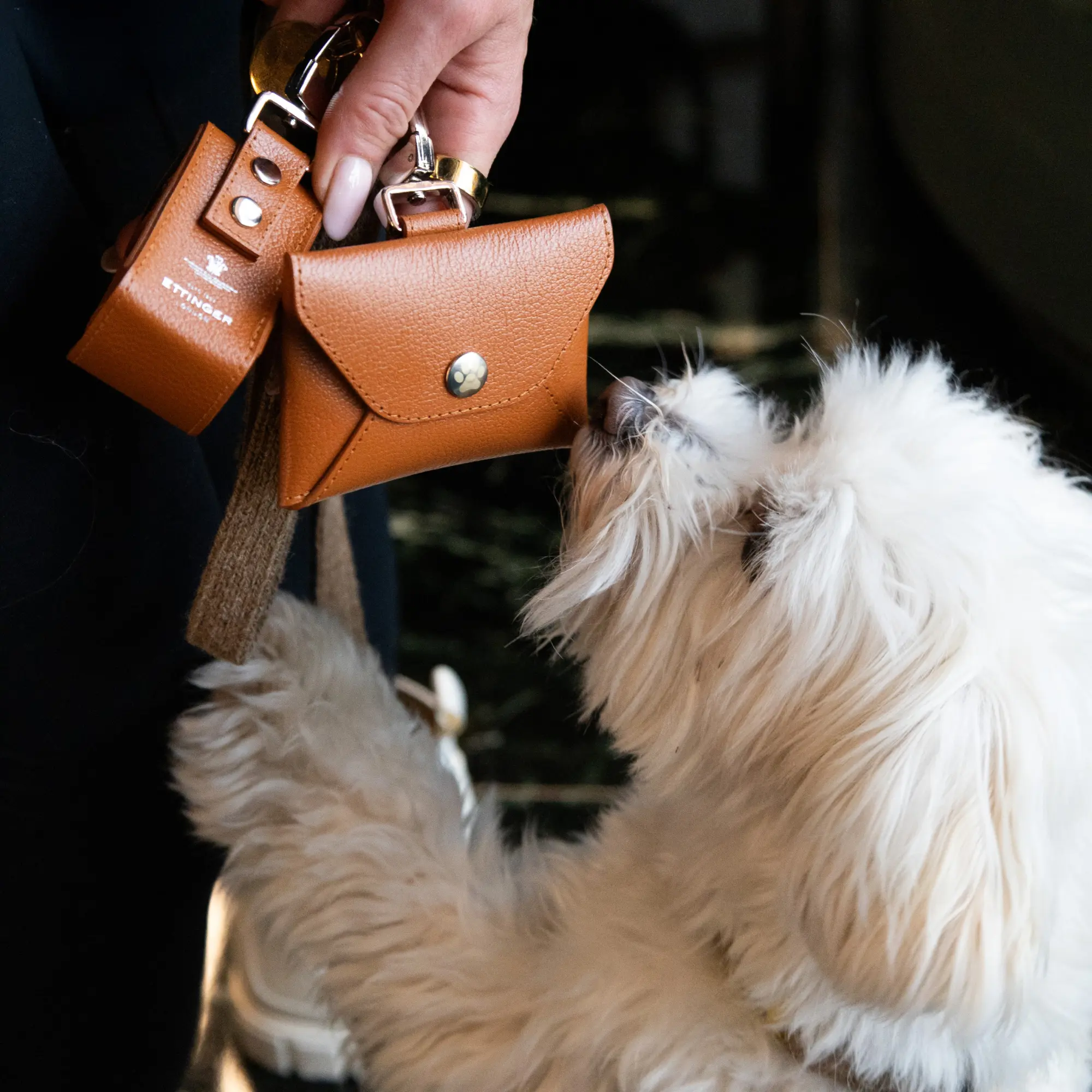 Capra Dog Treat Holder - Image 12