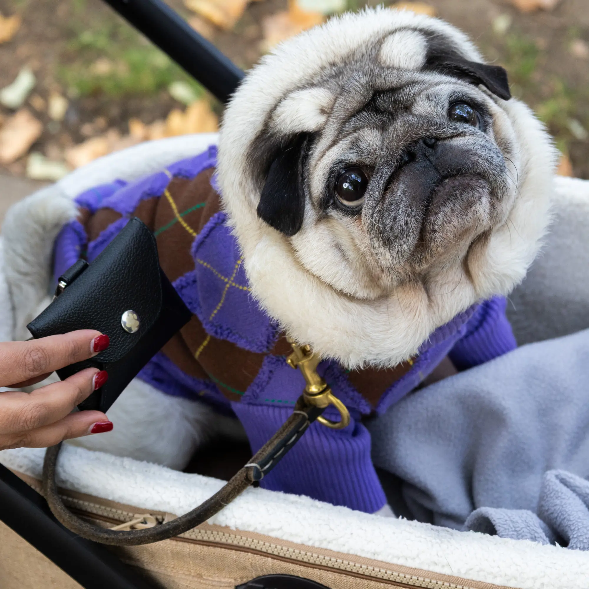 Capra Dog Treat Holder - Image 8