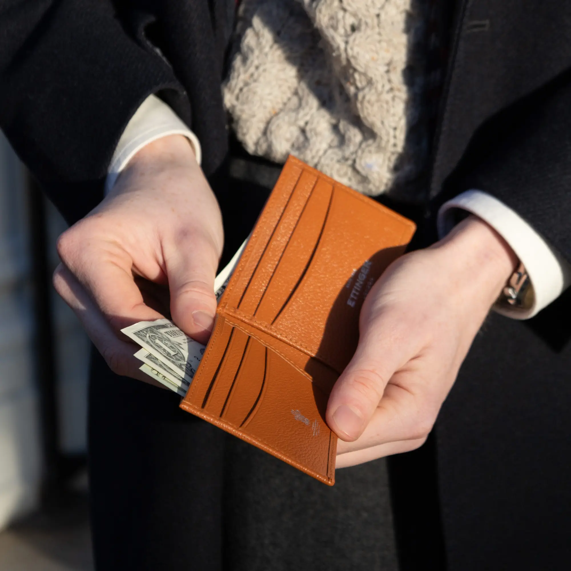 Capra Dollar Wallet with 6 C/C - Image 10